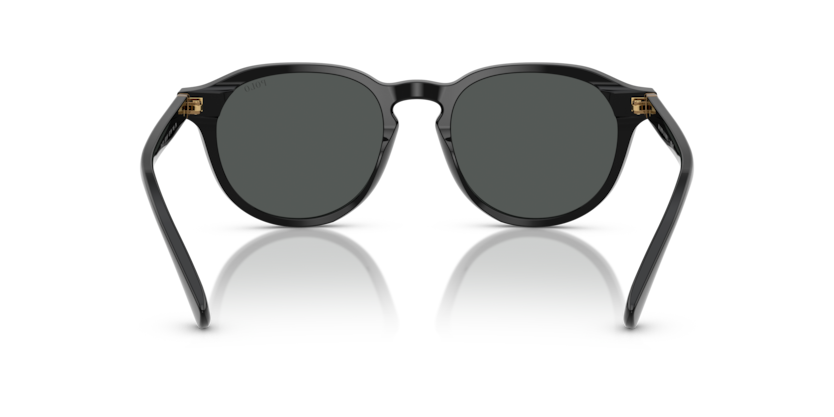 Sonnenbrillen Polo Ralph Lauren PH4221 500187 52 19