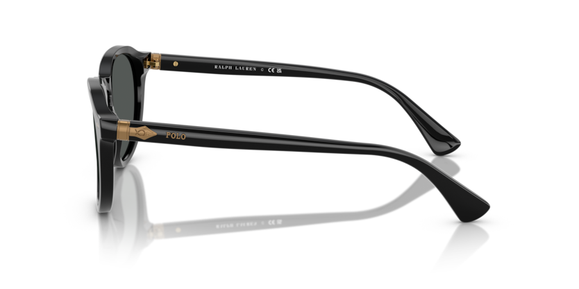 Sonnenbrillen Polo Ralph Lauren PH4221 500187 52 19