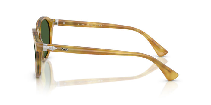 Gafas de Sol Polo Ralph Lauren PH4221 618571 52 19 — vista 4