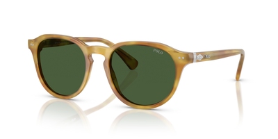 Gafas de Sol Polo Ralph Lauren PH4221 618571 52 19