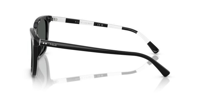 Sonnenbrille Polo Ralph Lauren PH4224U 500187 55 18 — vista 3