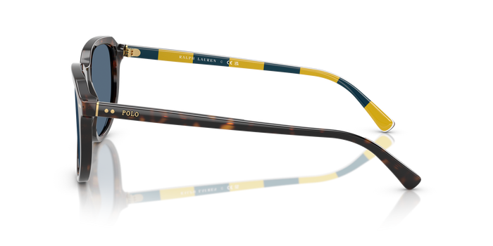 Gafas de Sol Polo Ralph Lauren PH4225 500380 53 18 — vista 3