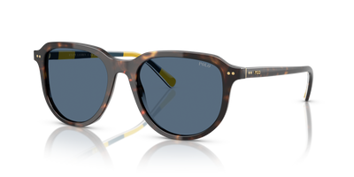 Sunglasses Polo Ralph Lauren PH4225 500380 53 18