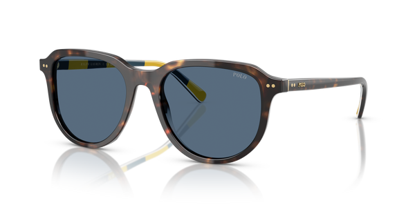 Gafas de Sol Polo Ralph Lauren PH4225 500380 53 18