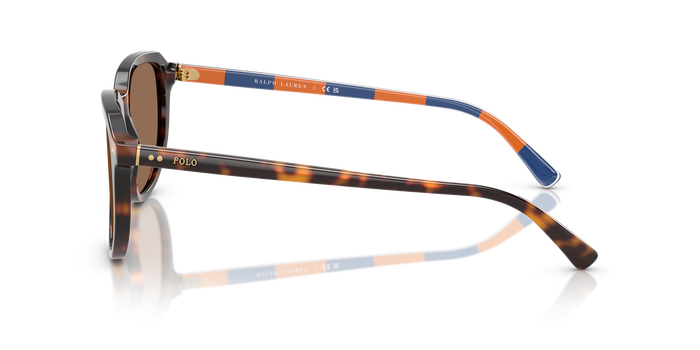 Gafas de Sol Polo Ralph Lauren PH4225 613773 53 18 — vista 3