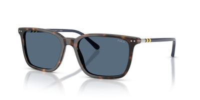 Gafas de Sol Polo Ralph Lauren PH4226 500380 56 18