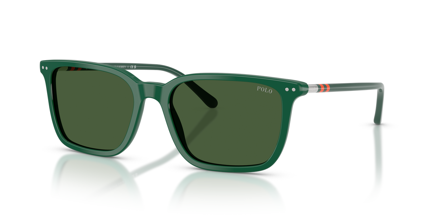 Gafas de Sol Polo Ralph Lauren PH4226 542171 56 18