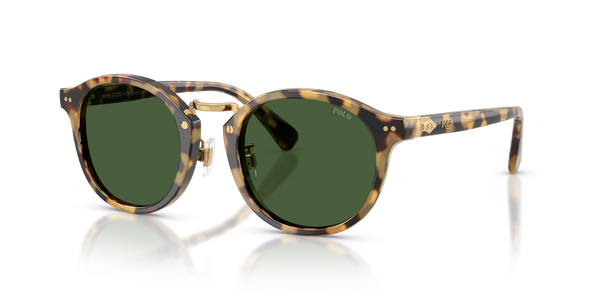 Gafas de Sol Polo Ralph Lauren PH4230 500471 50 22