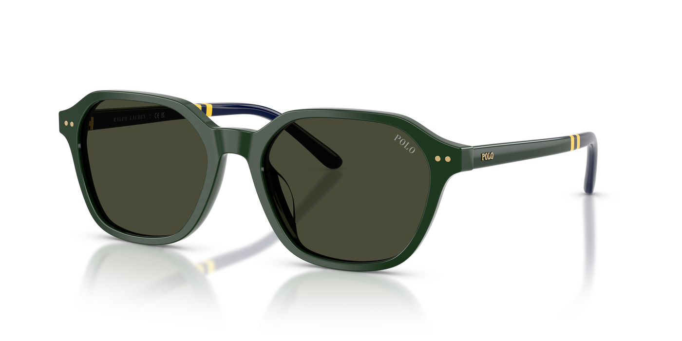 Gafas de Sol Polo Ralph Lauren PH4234U 614082 54 18