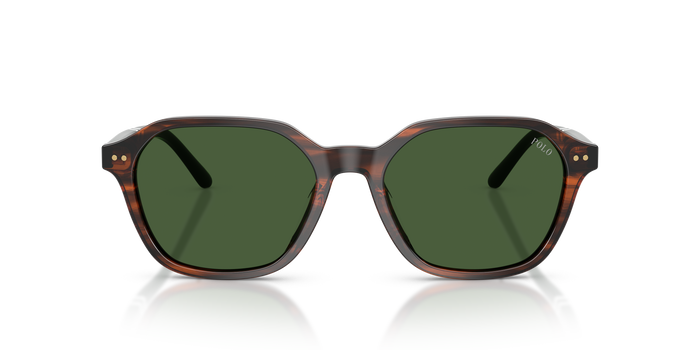 Gafas de Sol Polo Ralph Lauren PH4234U 631571 54 18 — vista 2