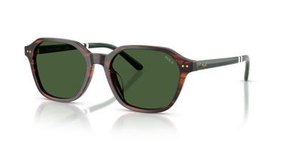 Gafas de Sol Polo Ralph Lauren PH4234U 631571 54 18