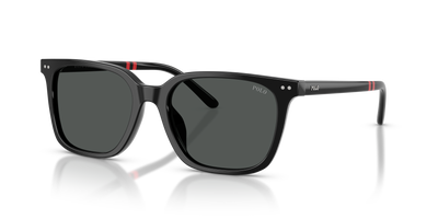 Gafas de Sol Polo Ralph Lauren PH4235U 500187 54 18