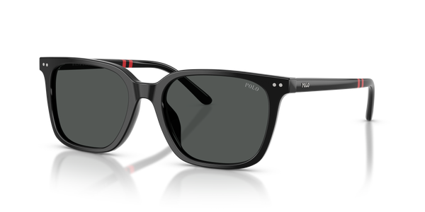 Gafas de Sol Polo Ralph Lauren PH4235U 500187 54 18