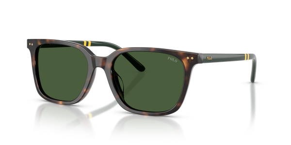 Gafas de Sol Polo Ralph Lauren PH4235U 500371 54 18