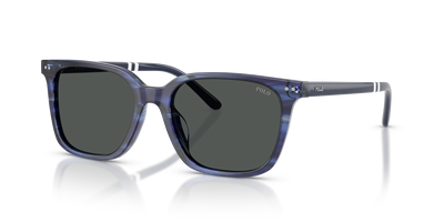 Gafas de Sol Polo Ralph Lauren PH4235U 631487 54 18