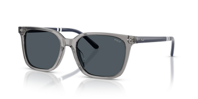 Gafas de Sol Polo Ralph Lauren PH4235U 631887 54 18