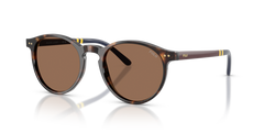 Sunglasses Polo Ralph Lauren PH4236 500373 50 20