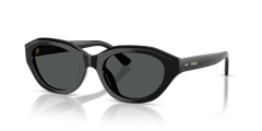 Sunglasses Polo Ralph Lauren PH4237U 500187 52 20
