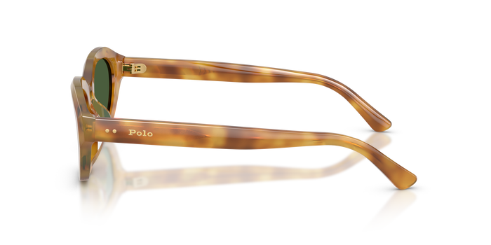 孙波罗·拉尔夫·劳伦的甘姆斯 PH4237U 68571 52 20 Polo Ralph Lauren — vista 3
