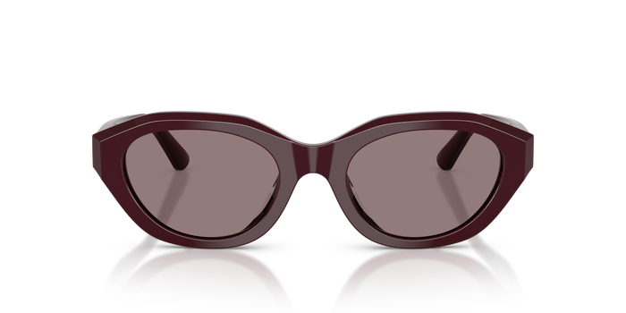 Sonnenbrille Polo Ralph Lauren PH4237U 63547N 52 20 — vista 2