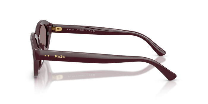 Sonnenbrille Polo Ralph Lauren PH4237U 63547N 52 20 — vista 3