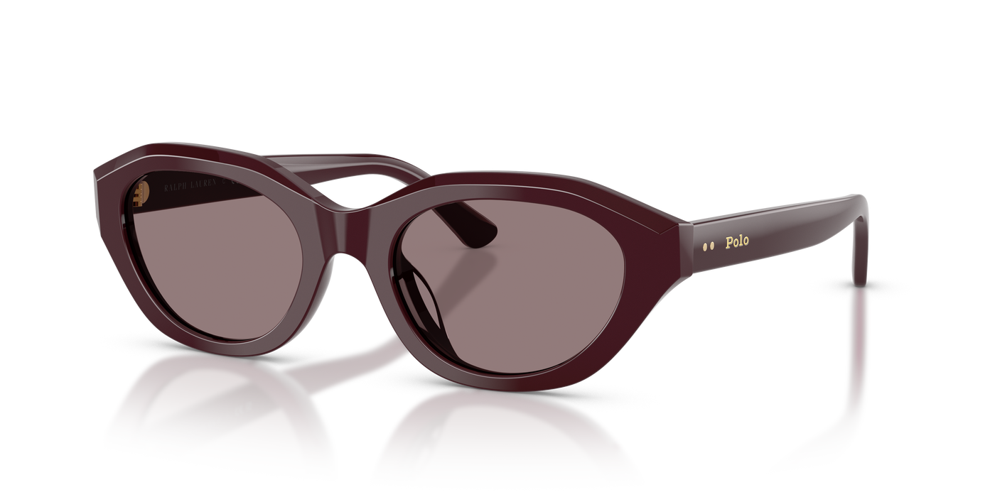 Sonnenbrille Polo Ralph Lauren PH4237U 63547N 52 20