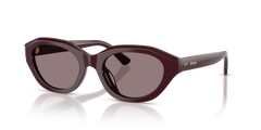 Sonnenbrille Polo Ralph Lauren PH4237U 63547N 52 20