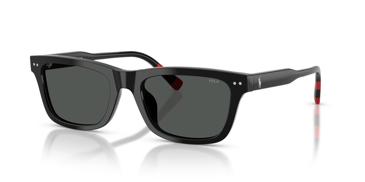 Gafas de Sol Polo Ralph Lauren PH4240U 500187 54 19