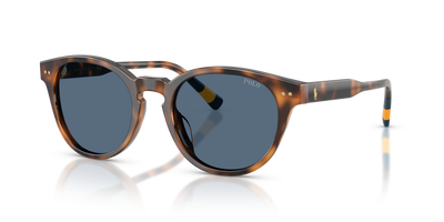 Gafas de Sol Polo Ralph Lauren PH4241U 608980 52 20