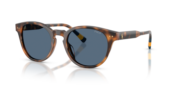 Gafas de Sol Polo Ralph Lauren PH4241U 608980 52 20