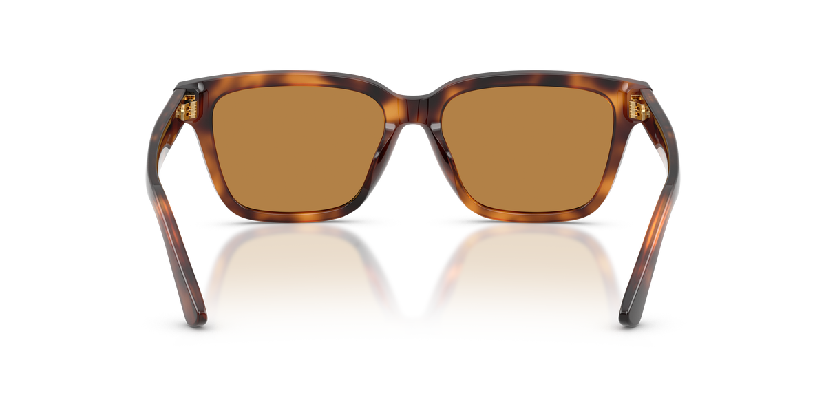 Gafas de Sol Polo Ralph Lauren PH4247U 635593 54 16