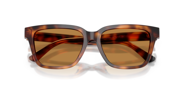 Gafas de Sol Polo Ralph Lauren PH4247U 635593 54 16 — vista 4
