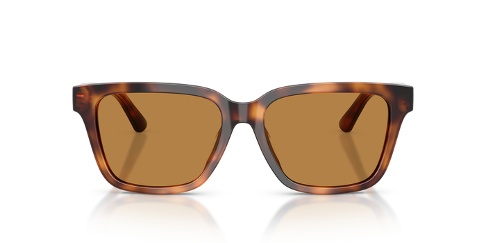 Gafas de Sol Polo Ralph Lauren PH4247U 635593 54 16 — vista 3
