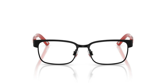 Korrektionsbrille Polo Ralph Lauren Pp8036 PP8036 3136 46 15 — vista 4