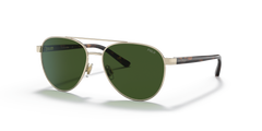 Gafas de Sol Polo Ralph Lauren Pp9001 PP9001 918971 51 14
