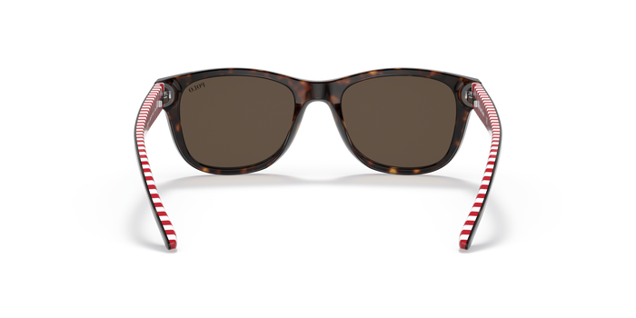 Gafas de Sol Polo Ralph Lauren PP9501 593673 47 17 — vista 3
