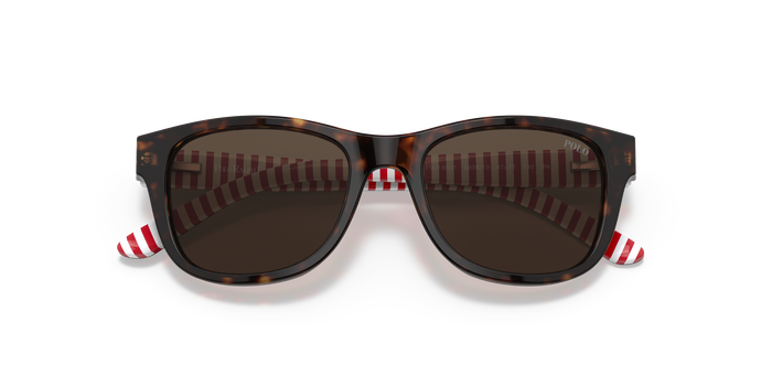 Gafas de Sol Polo Ralph Lauren PP9501 593673 47 17 — vista 5
