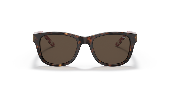 Gafas de Sol Polo Ralph Lauren PP9501 593673 47 17 — vista 4