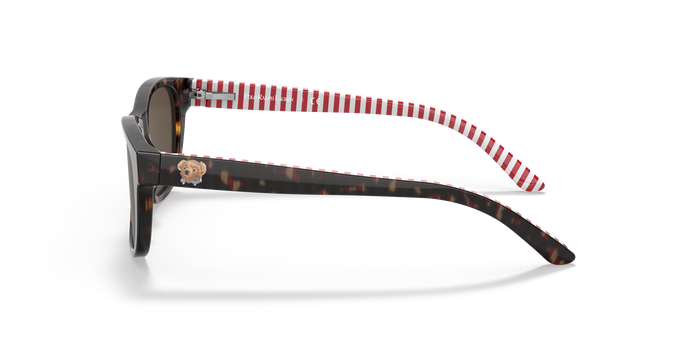 Gafas de Sol Polo Ralph Lauren PP9501 593673 47 17 — vista 2