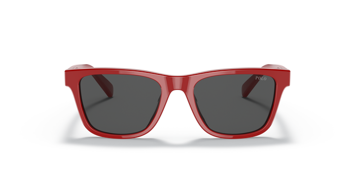 Sonnenbrille Polo Ralph Lauren Pp9504U PP9504U 525787 49 17 — vista 4