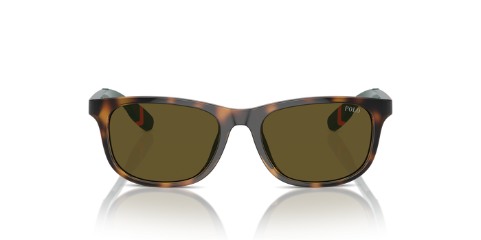 Gafas de Sol Polo Ralph Lauren Pp9507U PP9507U 500373 49 16 — vista 4
