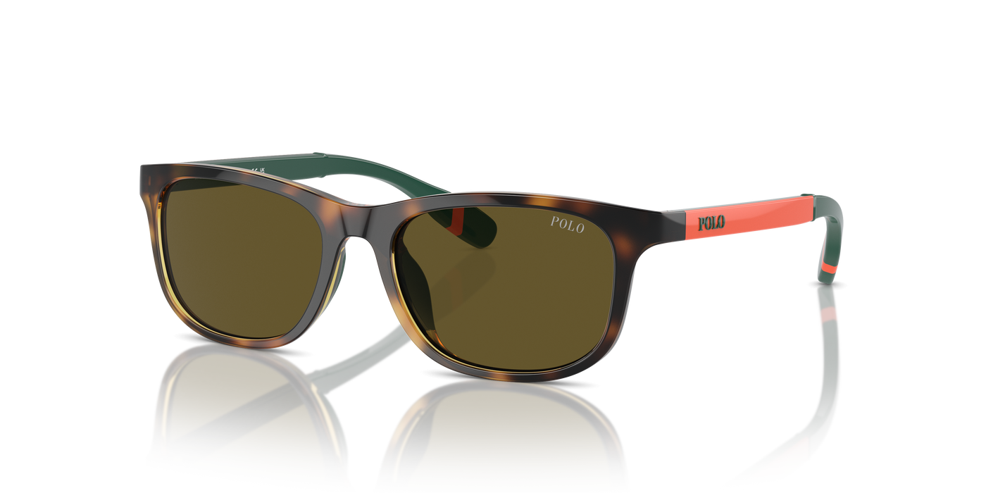 Gafas de Sol Polo Ralph Lauren Pp9507U PP9507U 500373 49 16