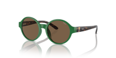 Sunglasses Polo Ralph Lauren Pp9508U PP9508U 619273 44 16