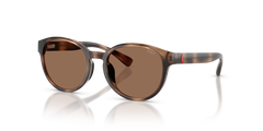 孙波罗·拉尔夫·劳伦斯·甘斯 Pp9509U PP9509U 597473 48 17 Polo Ralph Lauren