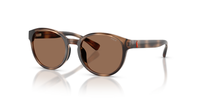 孙波罗·拉尔夫·劳伦斯·甘斯 Pp9509U PP9509U 597473 48 17 Polo Ralph Lauren
