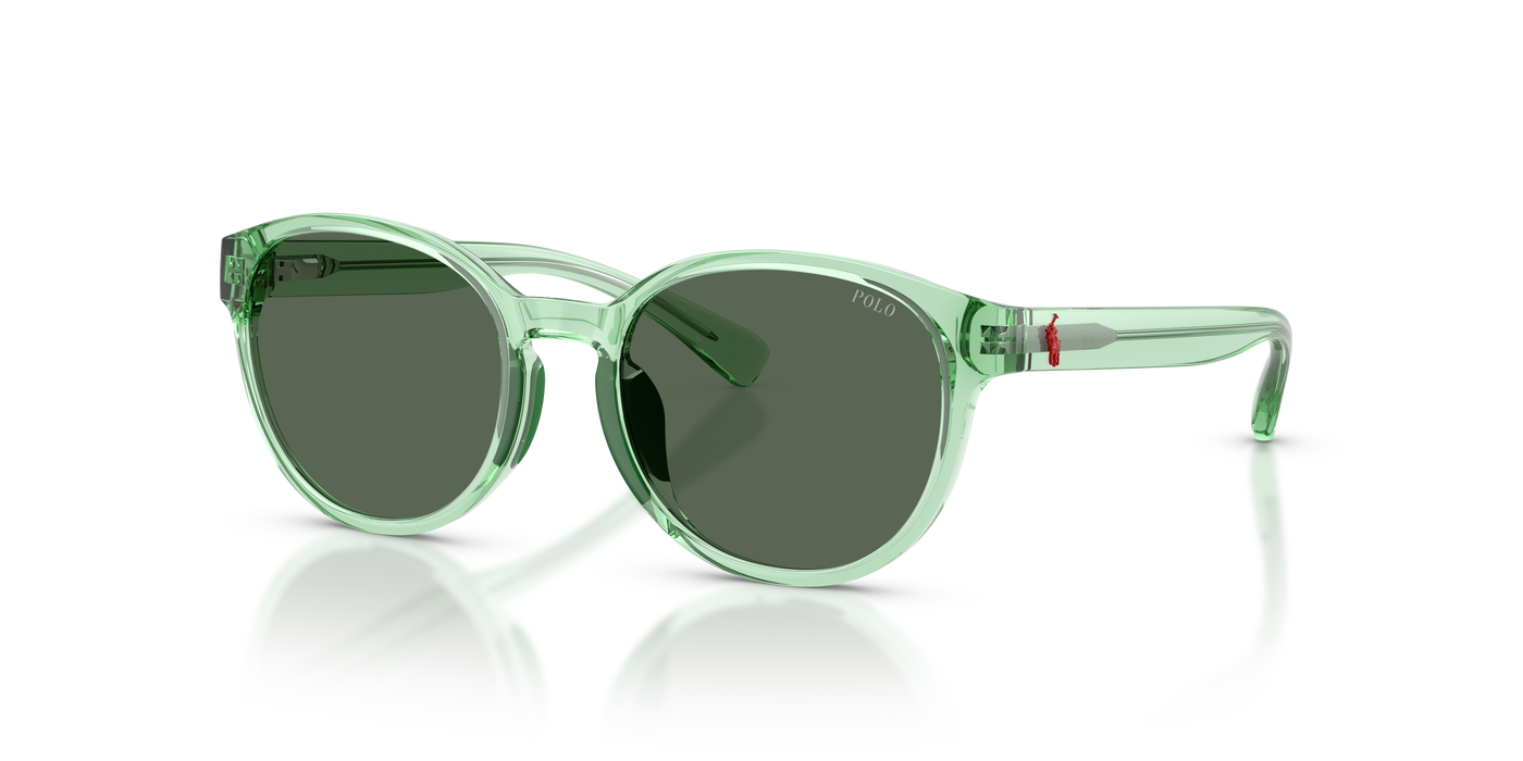 孙波罗·拉尔夫·劳伦斯·甘斯 Pp9509U PP9509U 625071 48 17 Polo Ralph Lauren