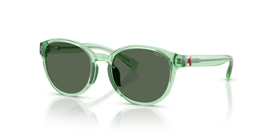 孙波罗·拉尔夫·劳伦斯·甘斯 Pp9509U PP9509U 625071 48 17 Polo Ralph Lauren