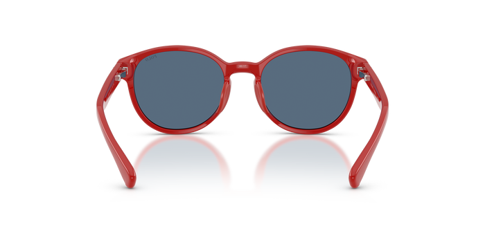 孙波罗·拉尔夫·劳伦斯·甘斯 Pp9509U PP9509U 632680 48 17 Polo Ralph Lauren — vista 3
