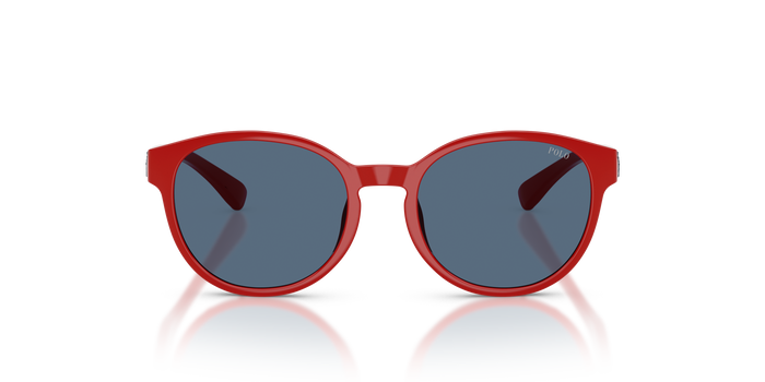 孙波罗·拉尔夫·劳伦斯·甘斯 Pp9509U PP9509U 632680 48 17 Polo Ralph Lauren — vista 4
