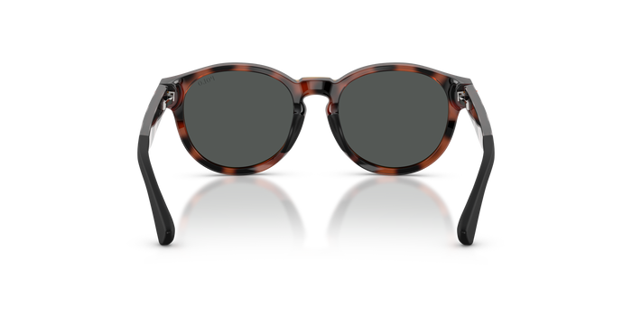 Gafas de Sol Polo Ralph Lauren PP9512U 597487 45 16 — Imagen 3